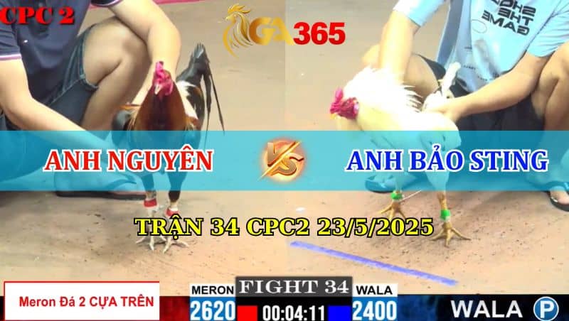 Trận 34 CPC2 23/05/2025