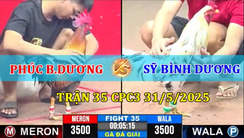Trận 35 CPC3 31/5/2025