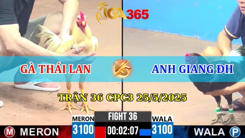 Trận 36 CPC3 25/05/2025