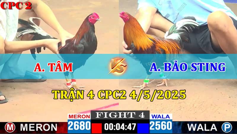 Trận 4 CPC2 4/5/2025