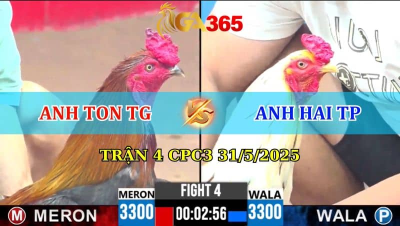 Trận 4 CPC3 31/5/2025