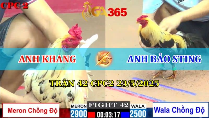 Trận 42 CPC2 23/05/2025