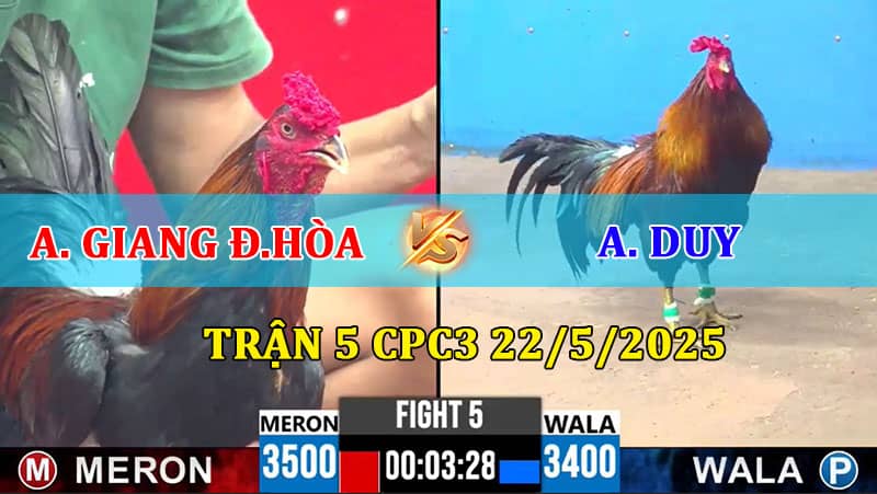 Trận 5 CPC3 22/5/2025