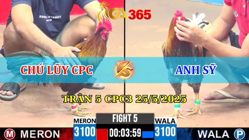 Trận 5 CPC3 25/05/2025