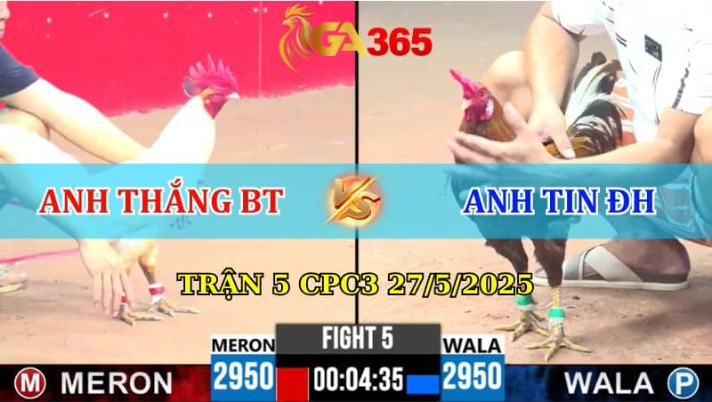 Trận 5 CPC3 27/05/2025