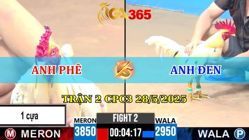 Trận 2 CPC3 28/05/2025
