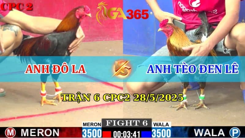 Trận 6 CPC2 28/05/2025