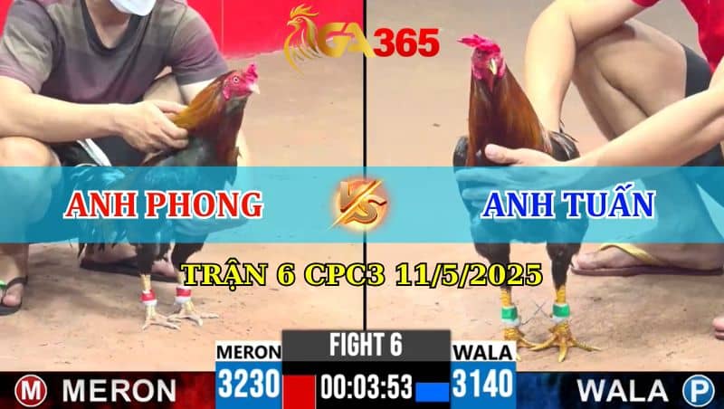 Trận 6 CPC3 11/5/2025