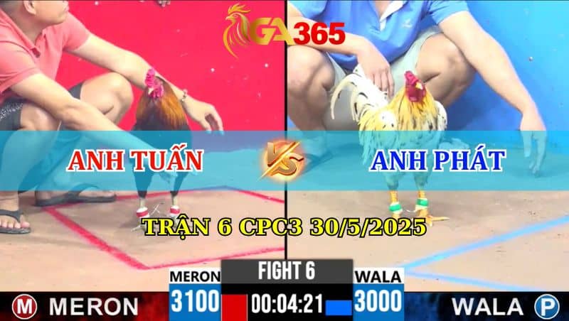 Trận 6 CPC3 30/05/2025