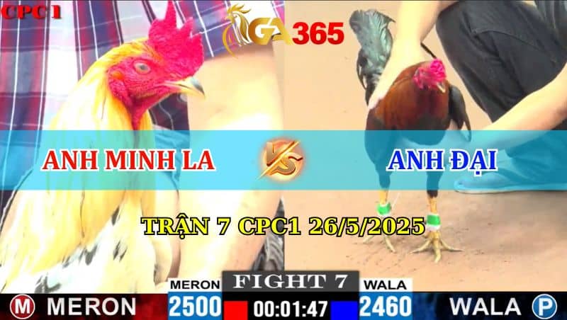 Trận 7 CPC1 26/05/2025