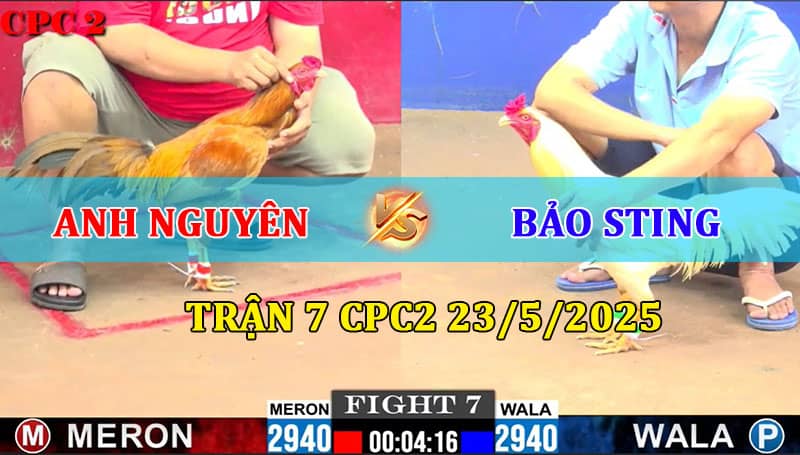Trận 7 CPC2 23/5/2025