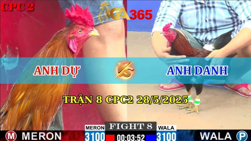 Trận 8 CPC2 28/05/2025