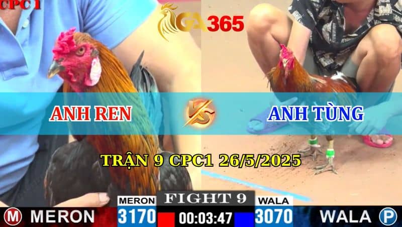 Trận 9 CPC1 26/05/2025