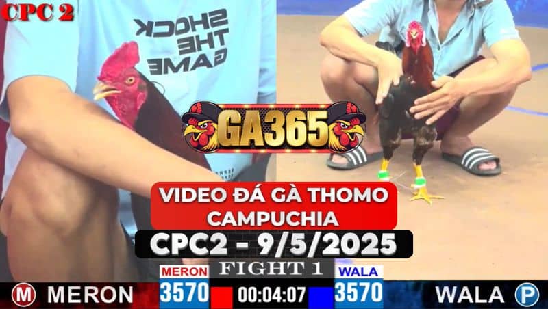 Video Đá Gà Thomo Campuchia Tại CPC2 Ngày 9/5/2025