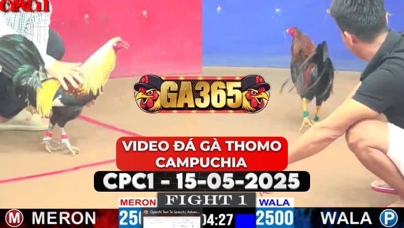 Video Đá Gà Thomo Campuchia Tại CPC1 Ngày 15/5/2025