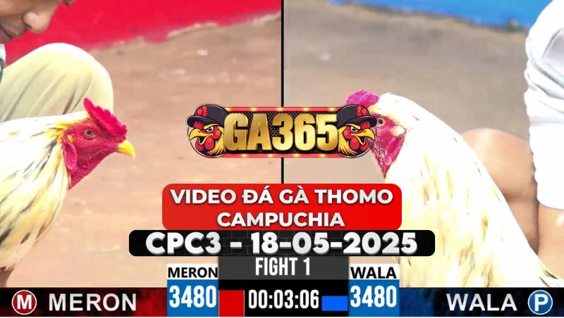 Video Đá Gà Thomo Campuchia Tại CPC3 Ngày 18/5/2025