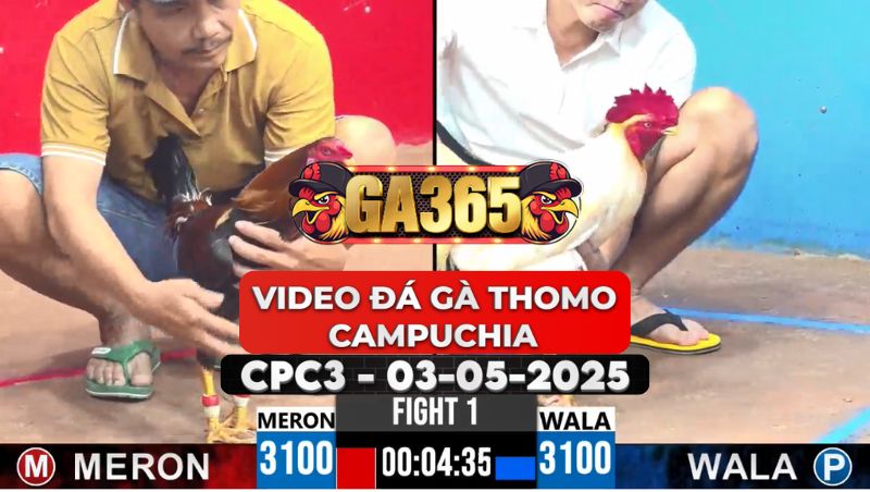 Video Đá Gà Thomo Campuchia Tại CPC3 Ngày 3/5/2025