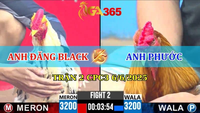 TRẬN 2 CPC3 6/6/2025