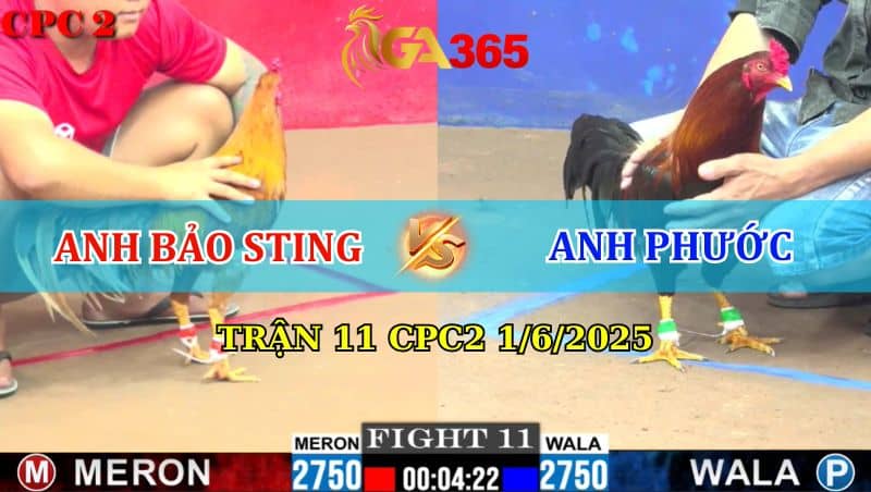 Trận 11 CPC2 1/6/2025