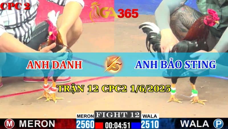 Trận 12 CPC2 1/6/2025