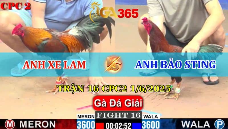 Trận 16 CPC2 1/6/2025