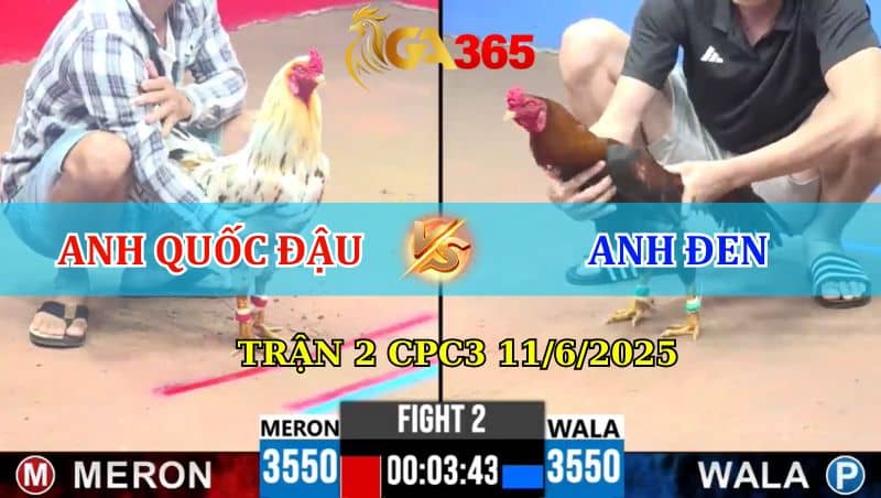 Trận 2 CPC3 Ngày 11/6/2025