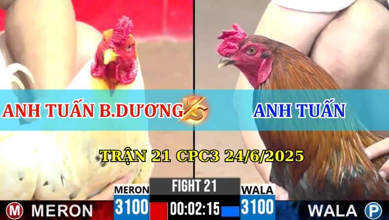 Trận 21 CPC3 24/6/2025