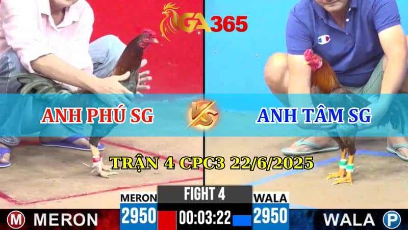 Trận 4 CPC3 Ngày 22/6/2025