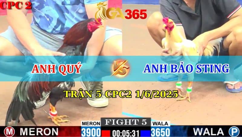 Trận 5 CPC2 1/6/2025