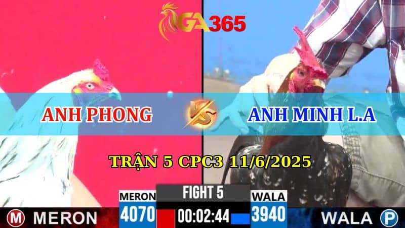 Trận 5 CPC3 Ngày 11/6/2025