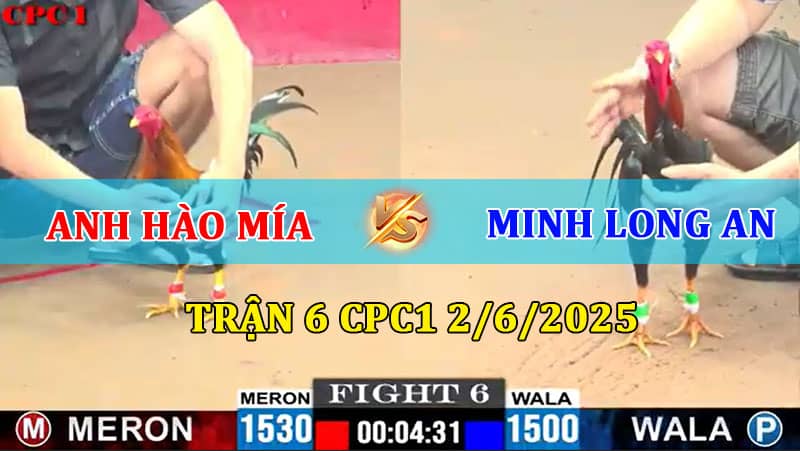 Trận 6 CPC1 2/6/2025