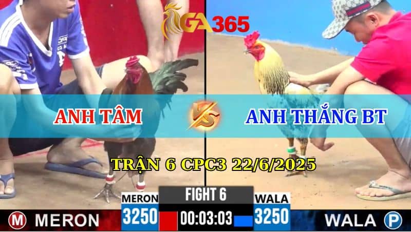 Trận 6 CPC3 22/6/2025