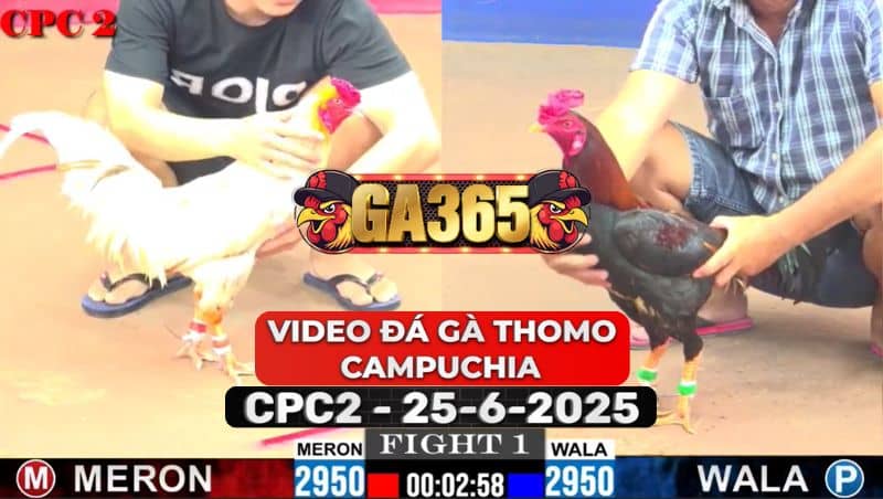 Video Đá Gà Thomo Campuchia Tại CPC2 Ngày 25/6/2025