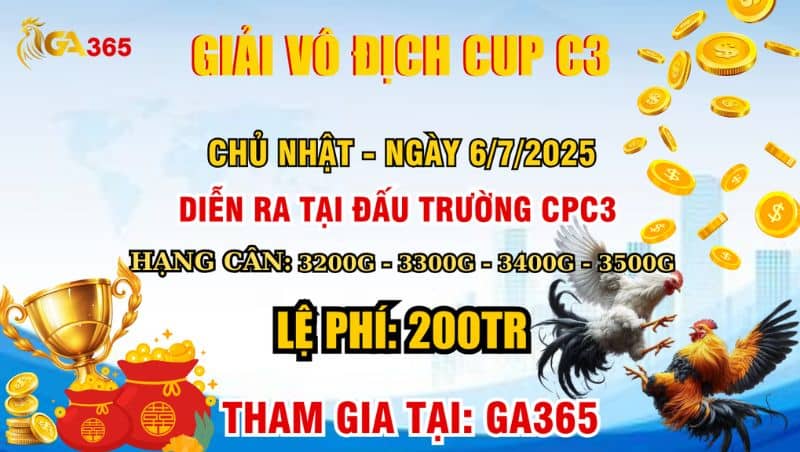 Giải Vô Địch Cup C3 Ngày 6/7/2025 