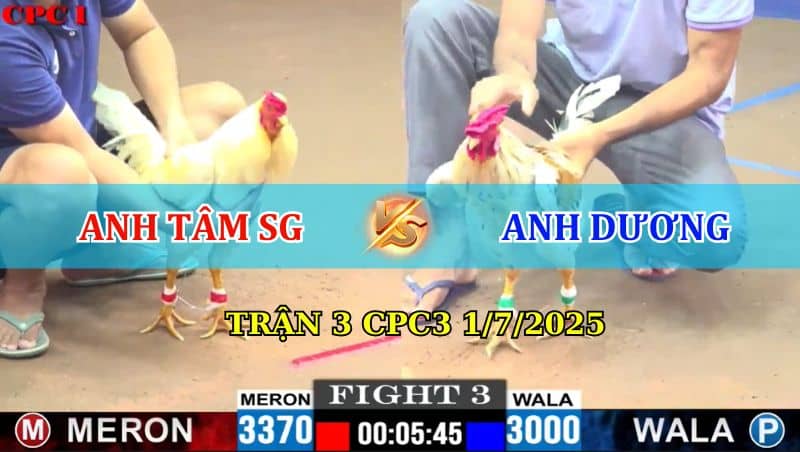 Trận 3 CPC1 1/7/2025