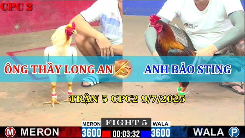 Trận 5 CPC2 9/7/2025