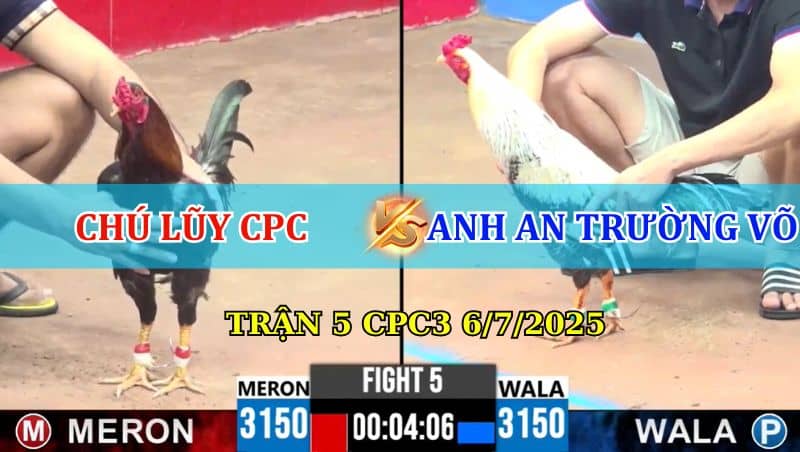 Trận 5 CPC3 6/7/2025
