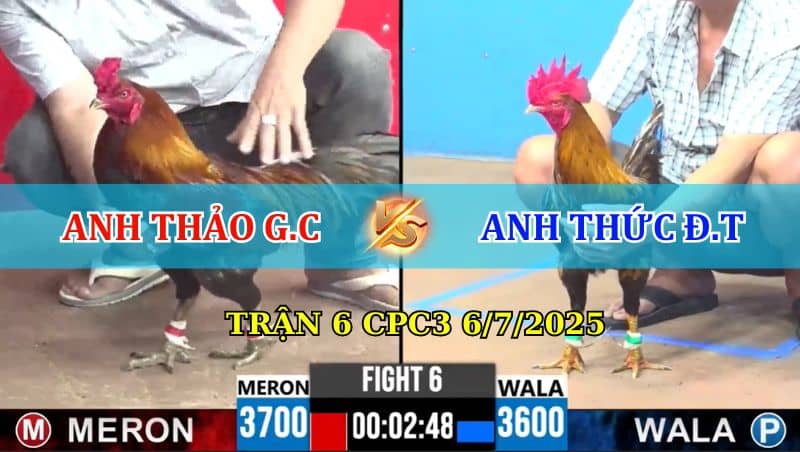 Trận 6 CPC3 6/7/2025